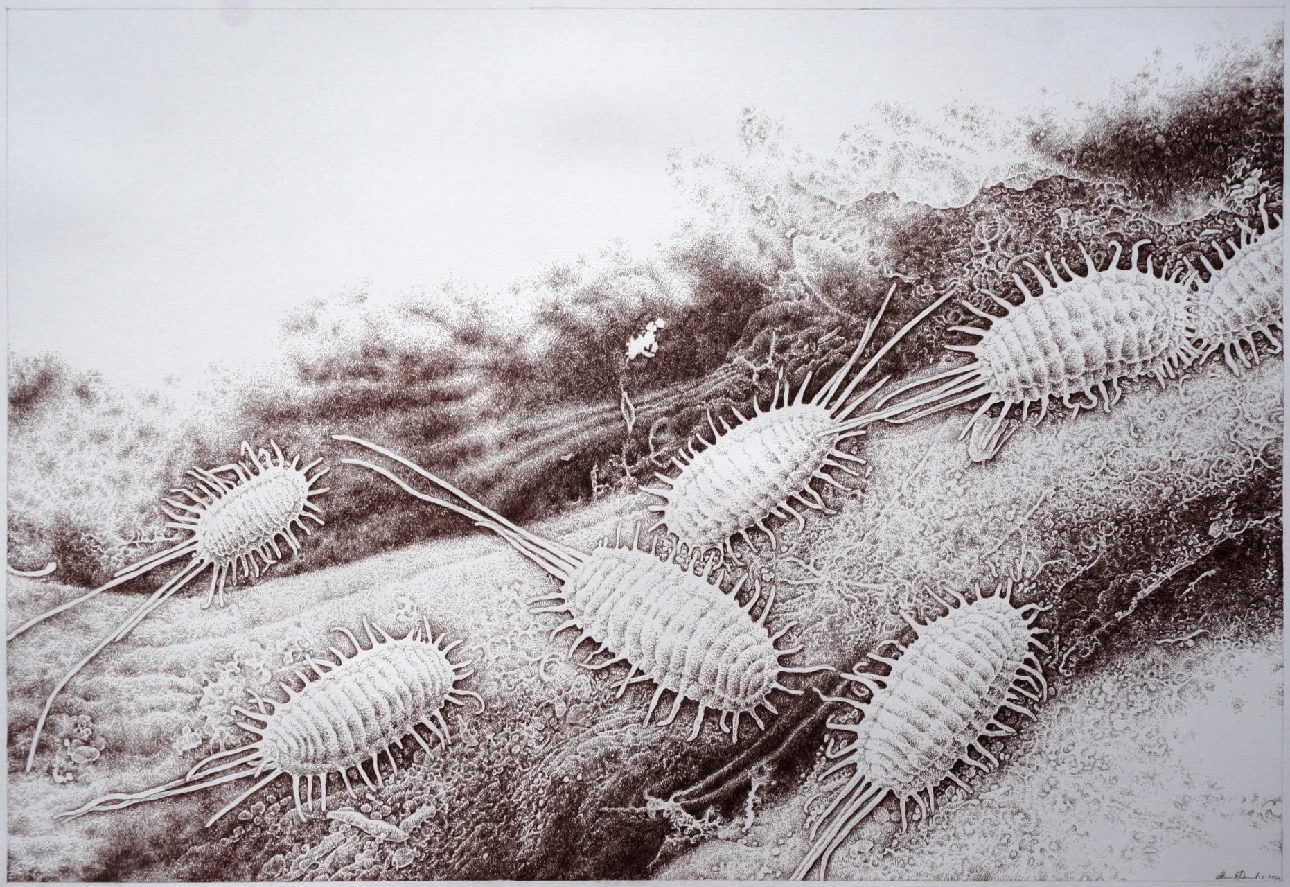 Mealybug Mayhem