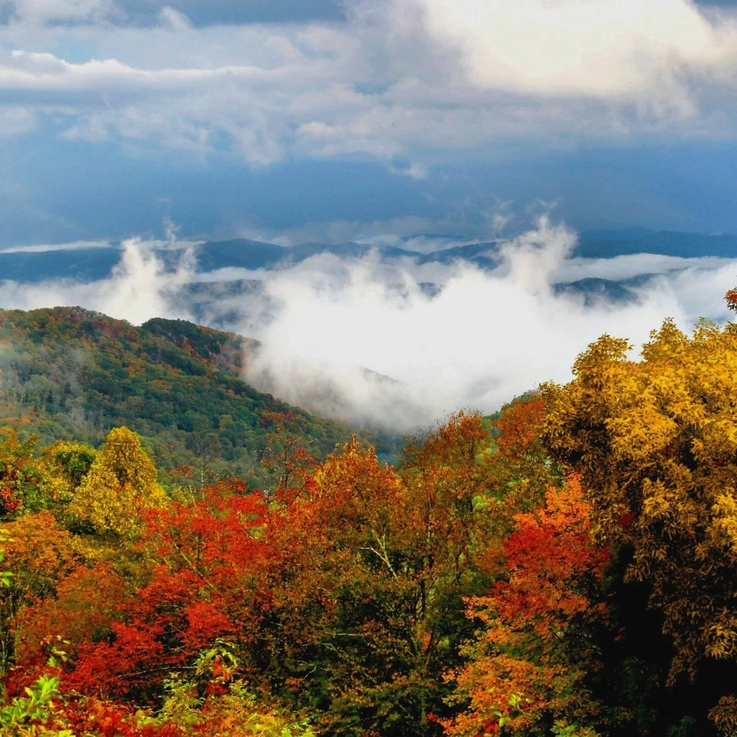 MORE Activities — MORE Moravian Falls Retreat Center and Cabin Rentals