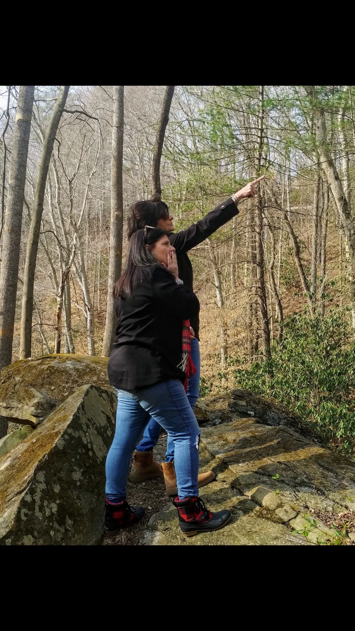 A Journey of Restoration and Peace