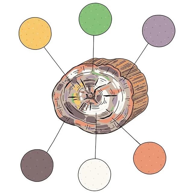 happy illo tuesday! check out the color and detail on this petrified log from Petrified Forest National Park (PEFO)--each color can help you identify the mineral combination in the log. @jillian.barthold is a real pro when it comes to clear illos--gi