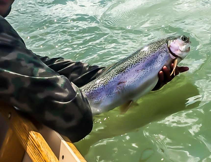 Trips and Packages Village Anglers — Village Anglers