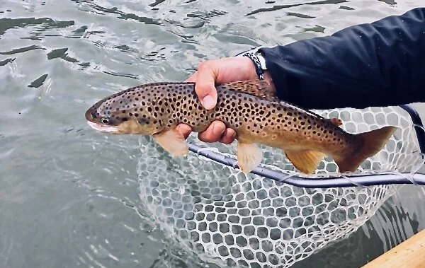 DEATH ROW RANT MARCH 2020