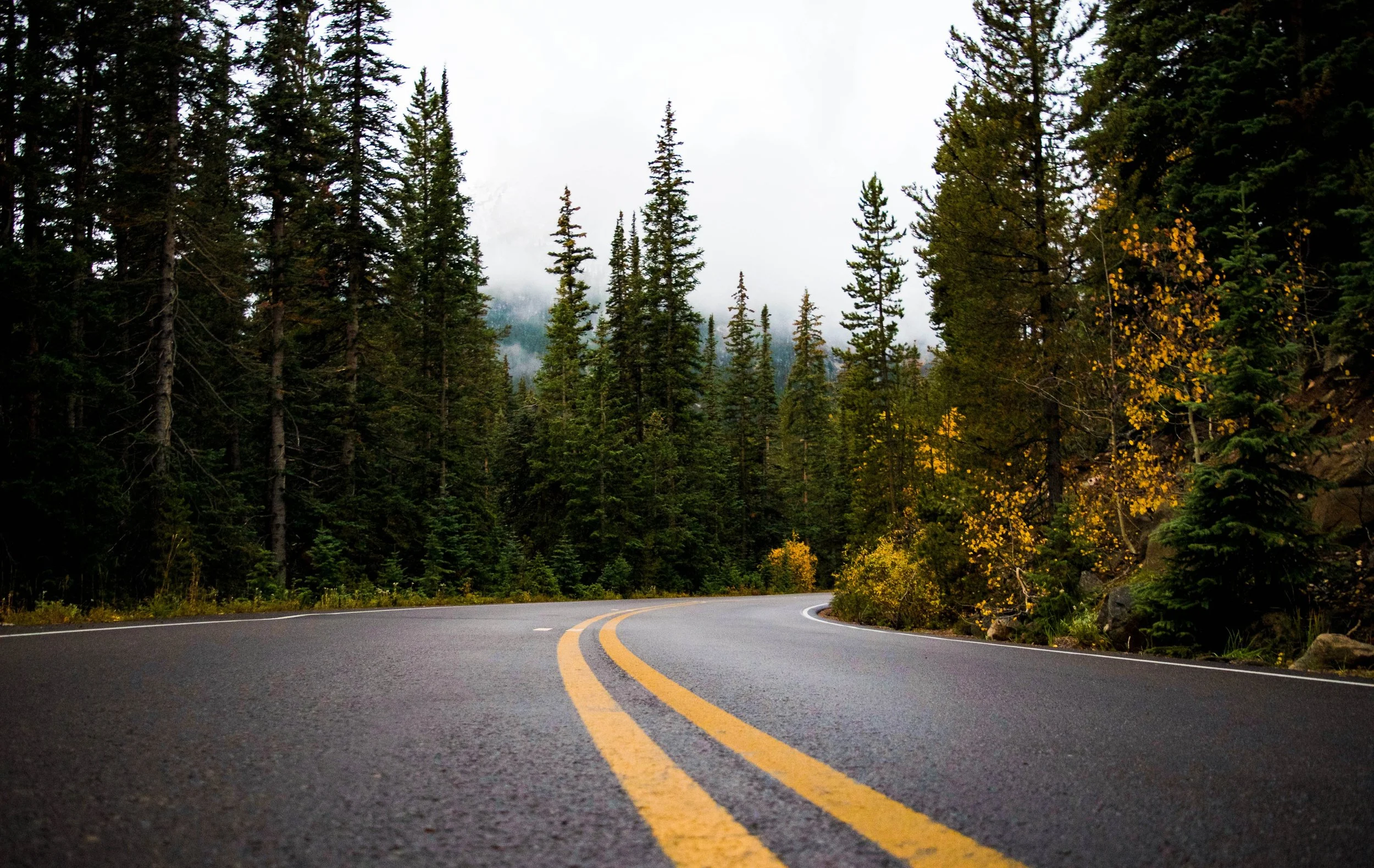 asphalt-forest-highway-209652.jpg