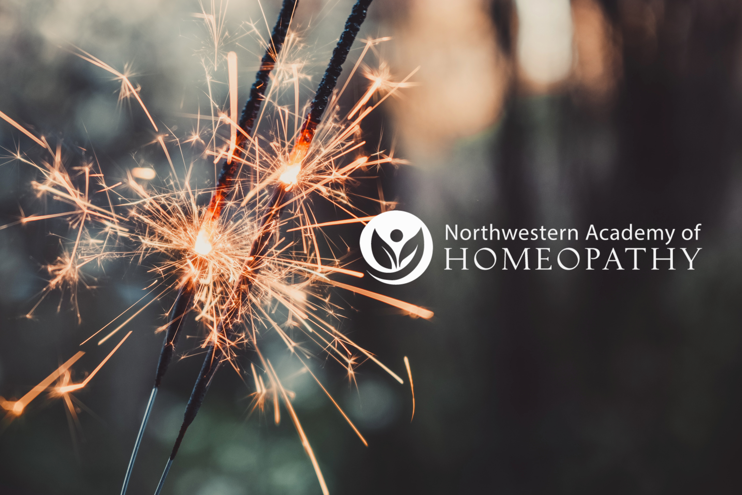 northwestern academy of homeopathy northwestern academy of homeopathy