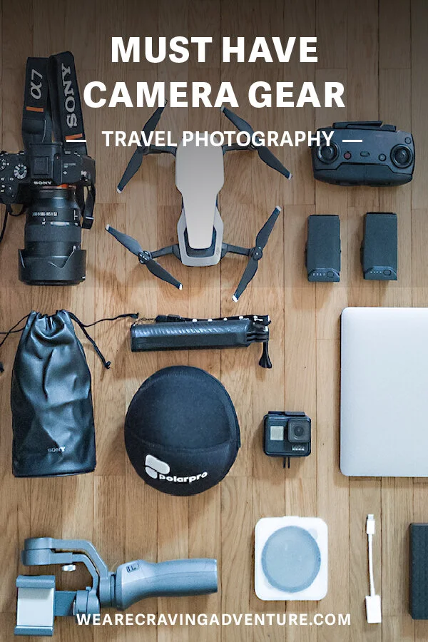 NZ dolphinsCamera Gear for Travel Photography-84.jpg