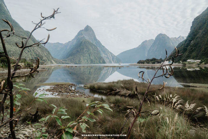 New Zealand Milford Sound-14.jpg