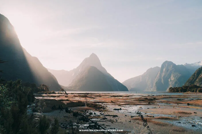 New Zealand Milford Sound-15.jpg