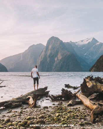 New Zealand Milford Sound Cover-15.jpg