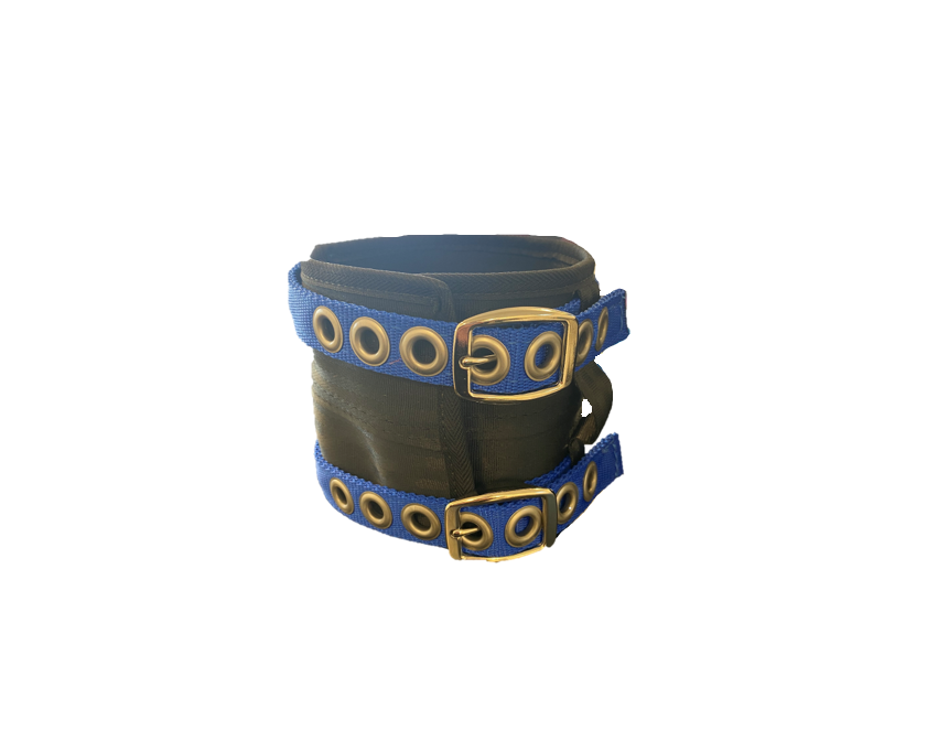 Dog collar - blue.png