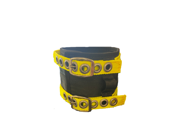 Dog collar - yellow.png