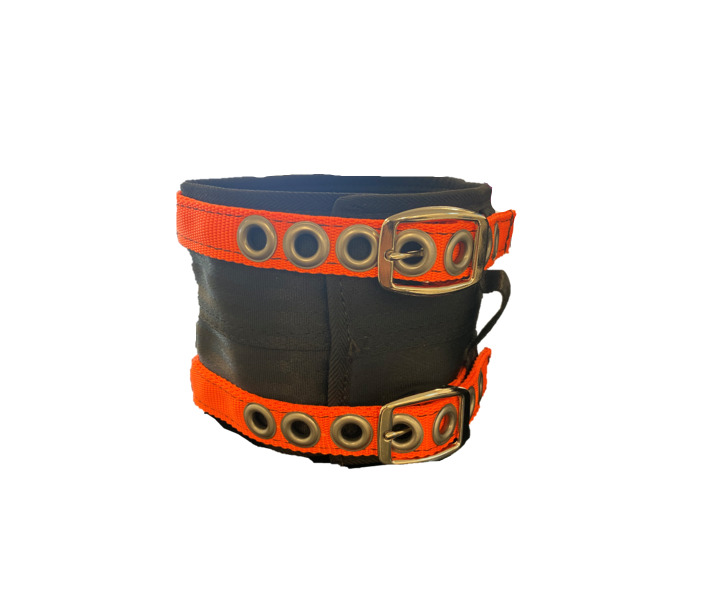 Dog collar - orange.png