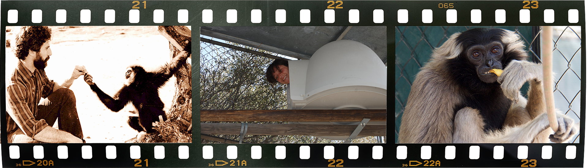 STRIP FILM#1.png