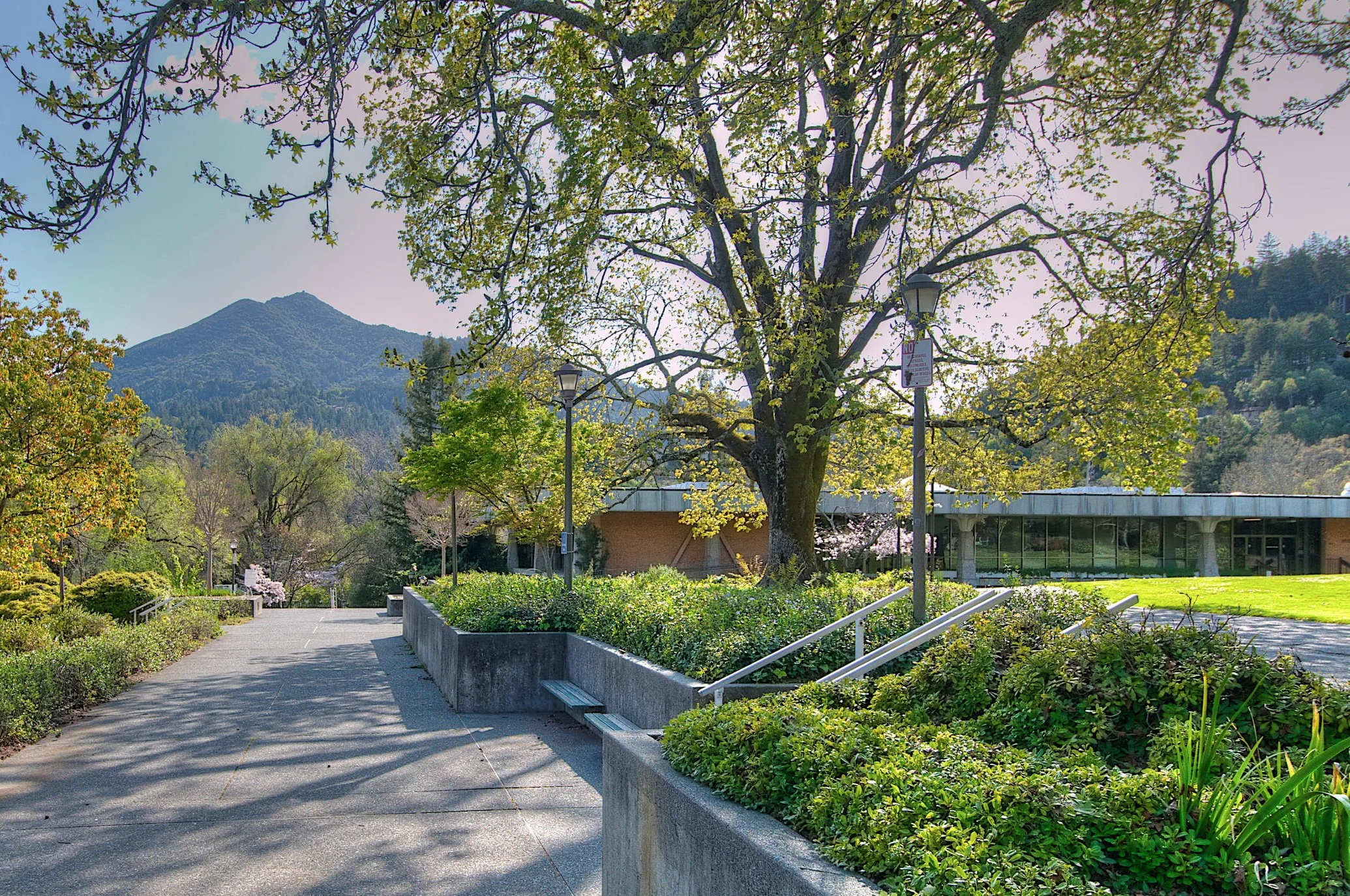 Kentfield+%281%29.jpg