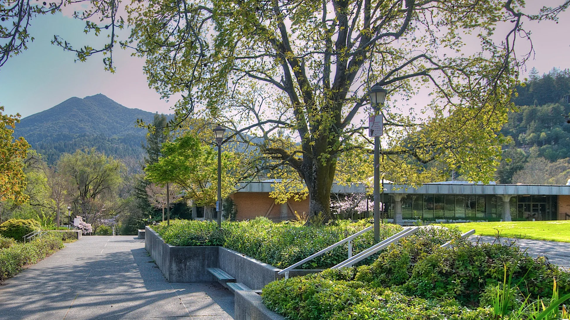 Kentfield (1).jpg