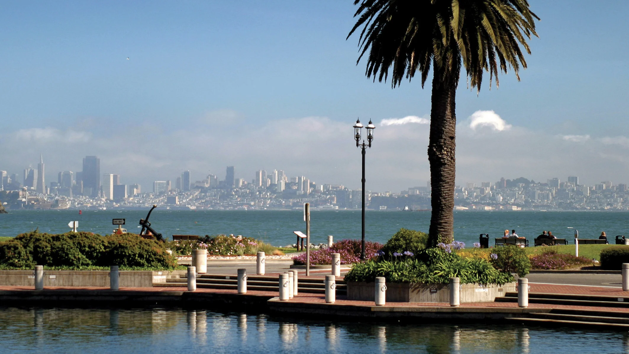 Tiburon (3).jpg
