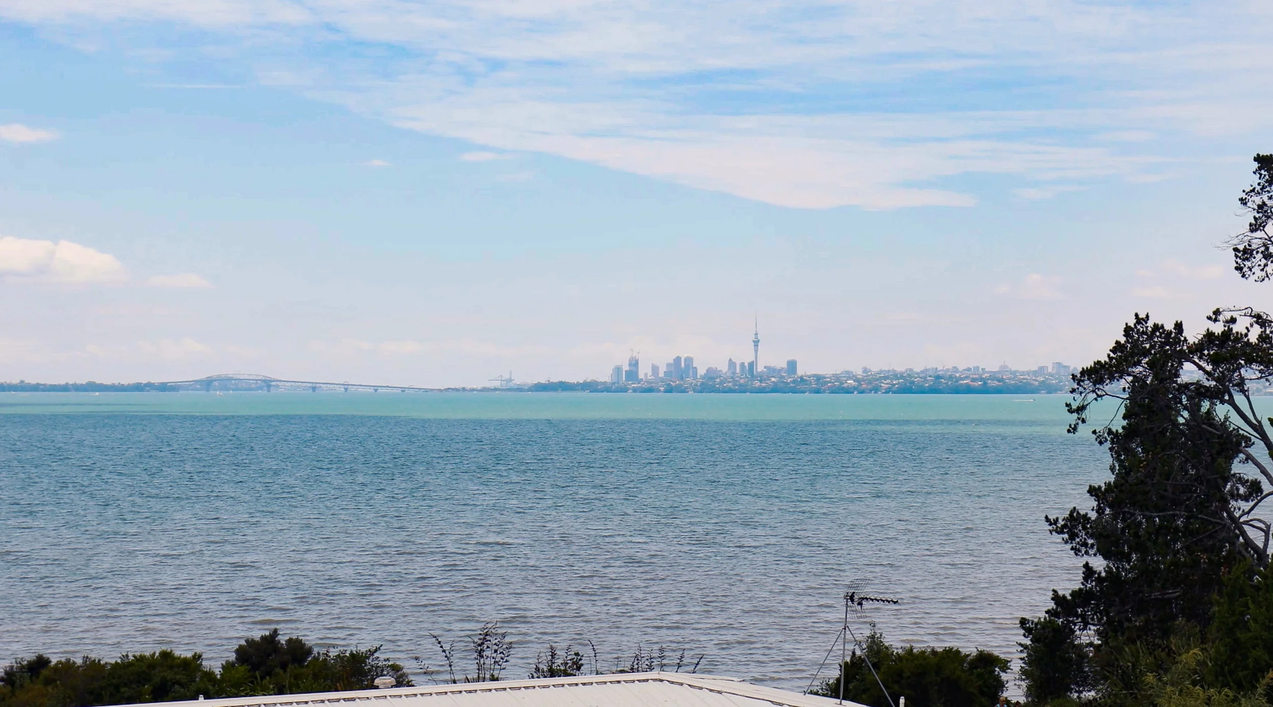 Screen Shot 2019-01-16 at 10.25.40 AM.jpg