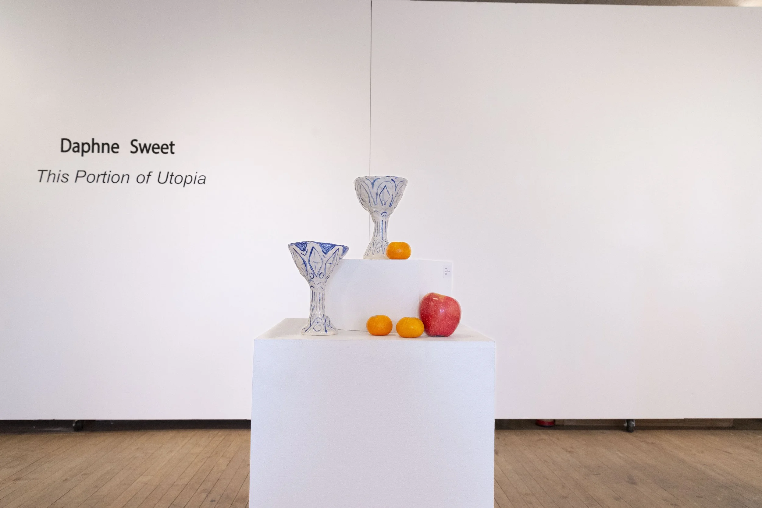 Daphne Sweet_This Portion of Utopia_2024004.jpg