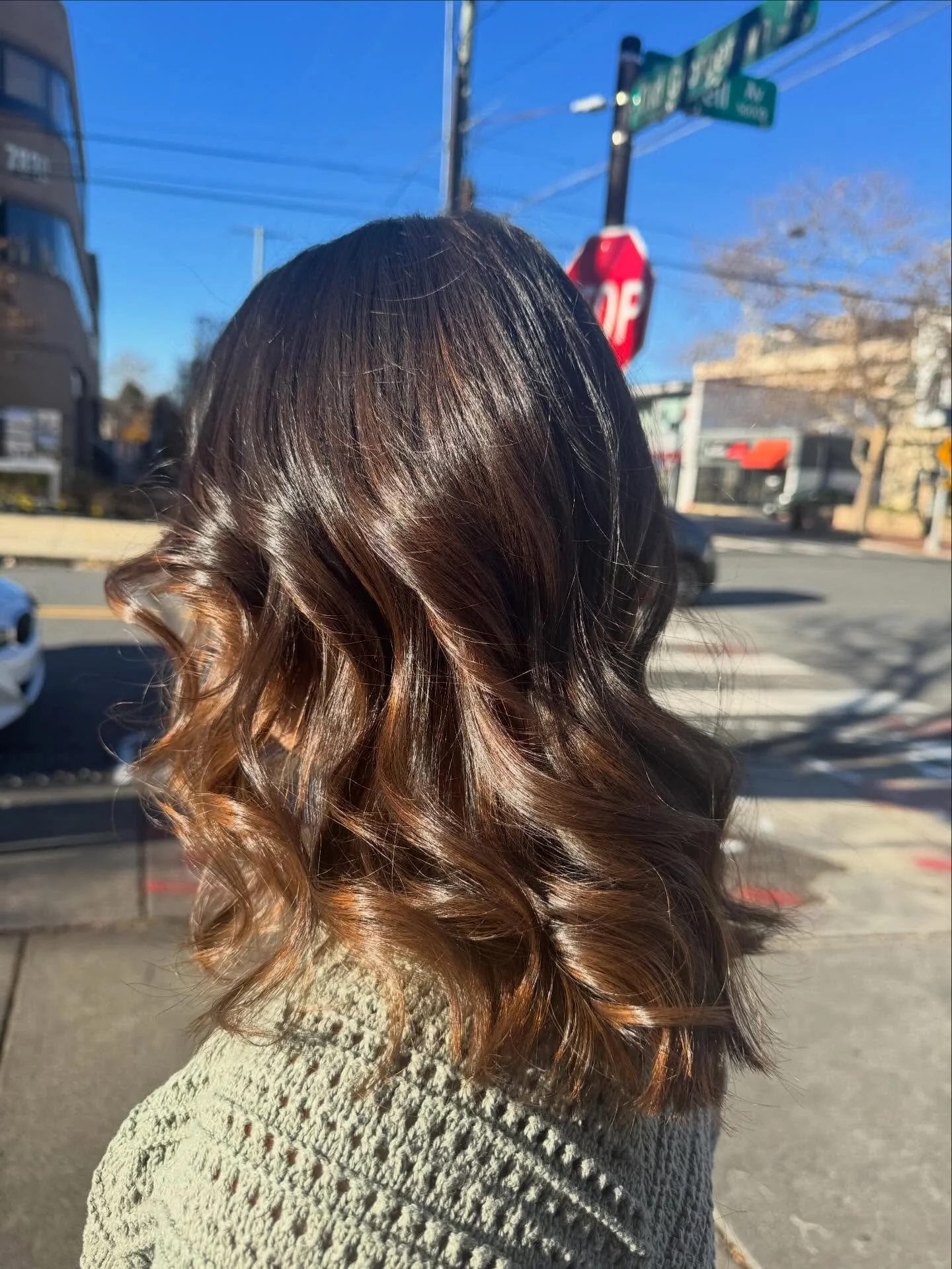 Gorgeous fall balayage by @hairbymargareto at BeTru Salon