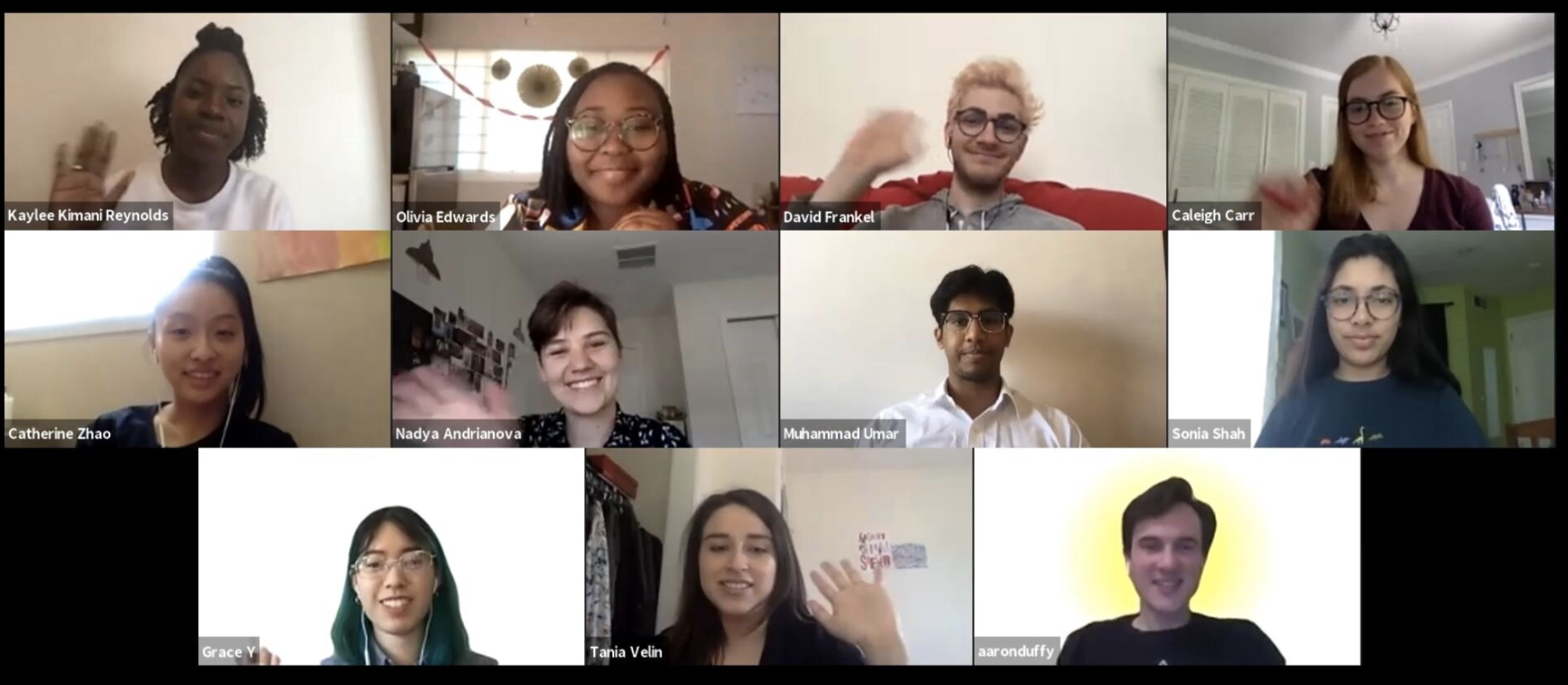 Screen Shot 2020-05-29 at 3.56.11 PM.png