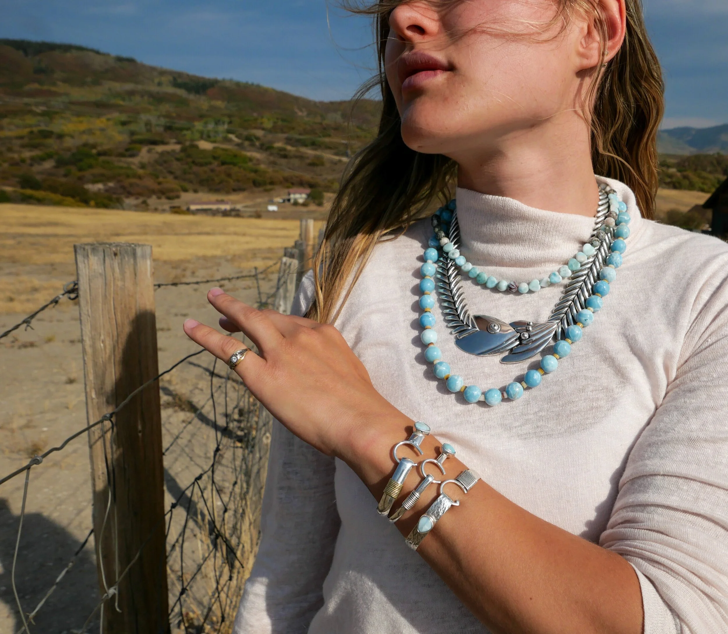 D13D5581-B0A7-4D94-AE04-B541332B9CEC