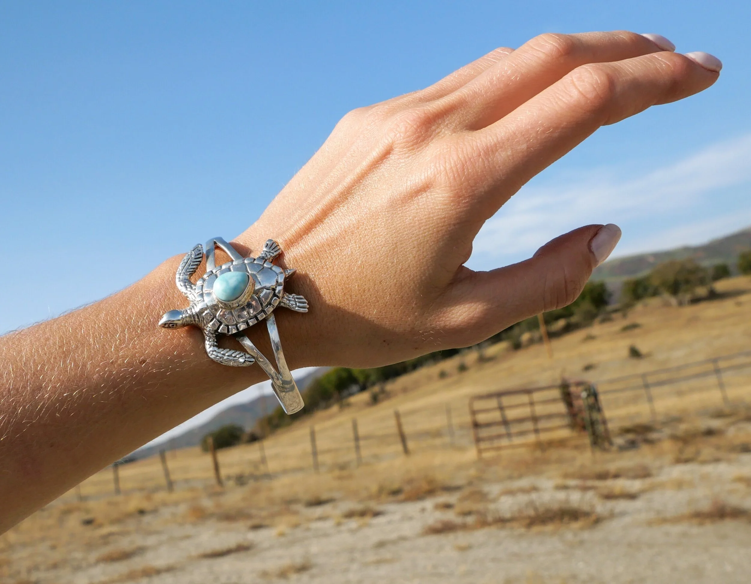 CF0C9218-DBAB-4C21-A512-59538B371EBF