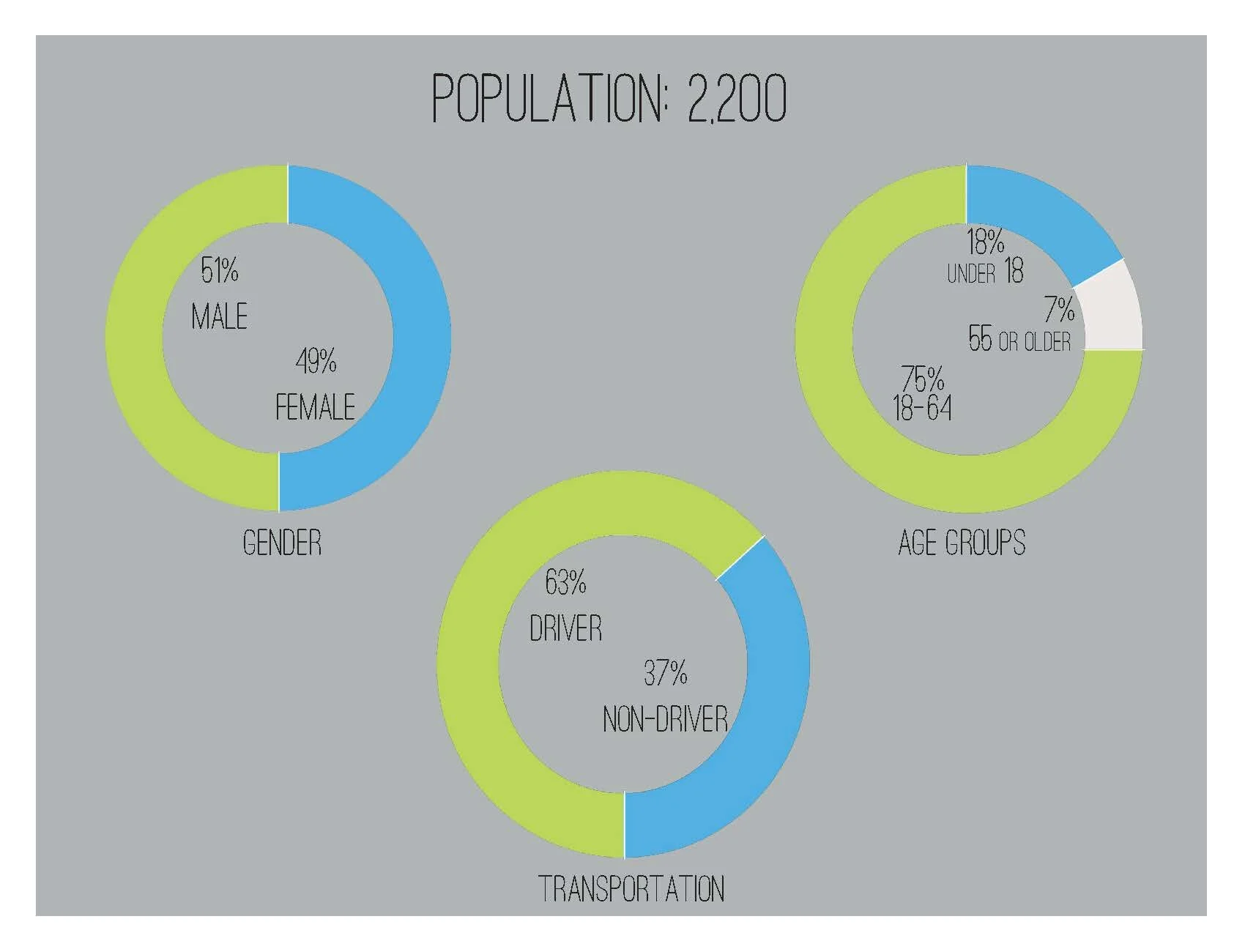 LPNA Booklet_Page_05.jpg