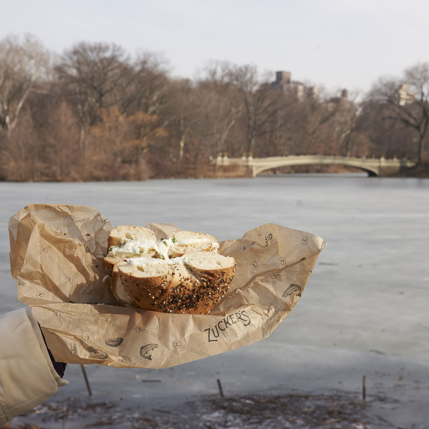 Zucker's Bagel In Central Park Before Shot