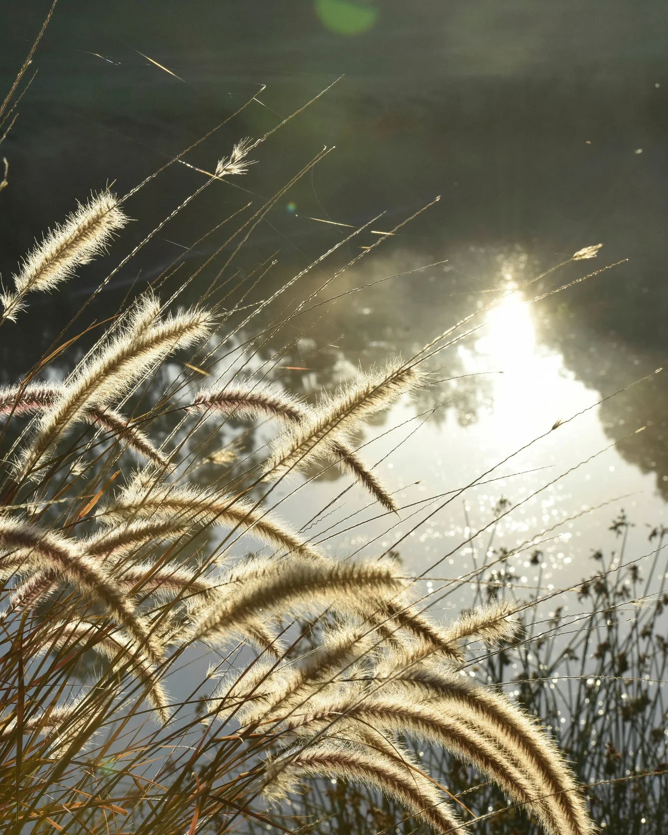 Lorem ipsum dolor sit amet, consectetur adipiscing elit, sed do eiusmod tempor incididunt ut labore et dolore magna aliqua.