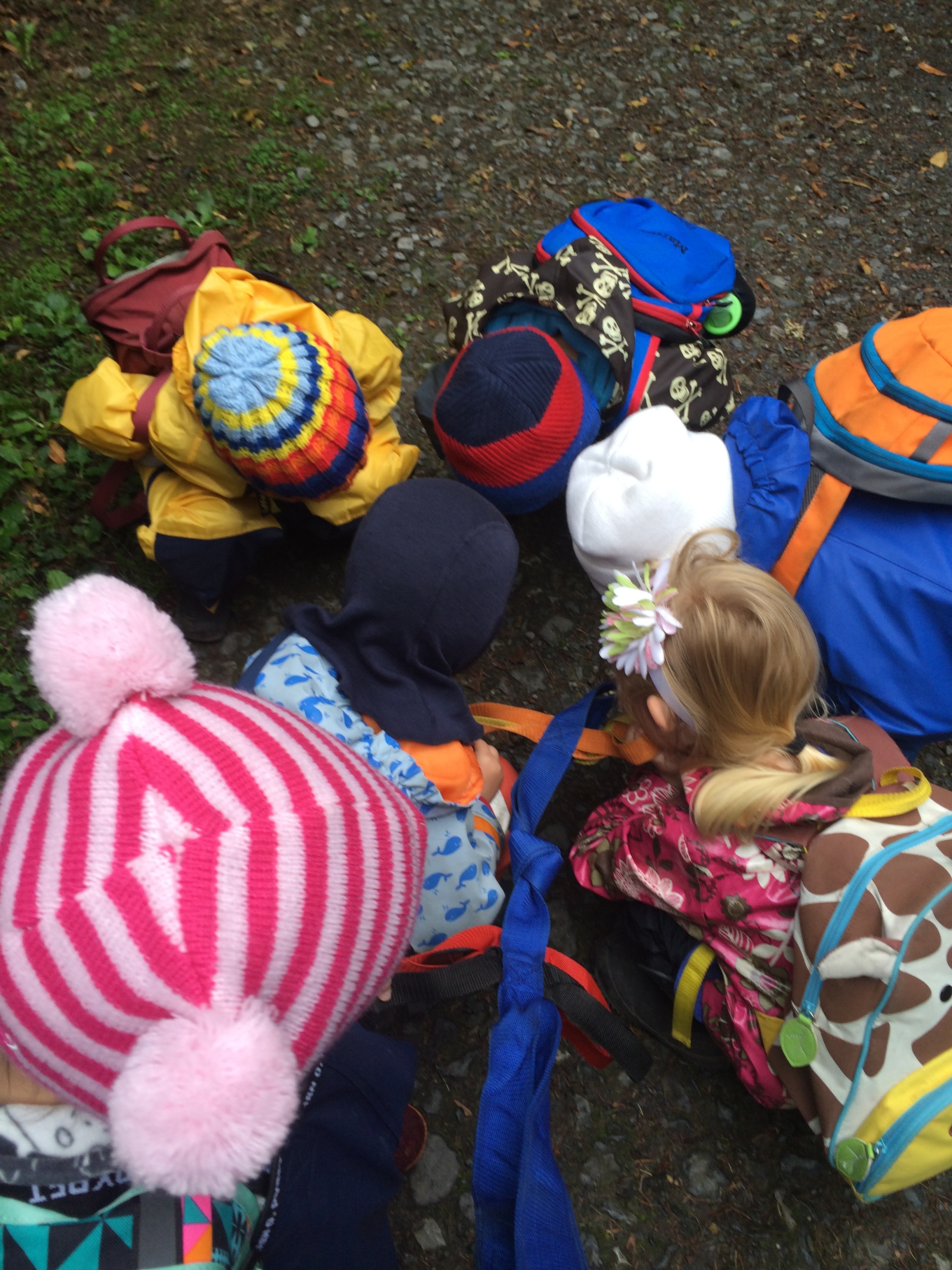 Honeybees Discovering a Slug on Outdoor Adventure.JPG