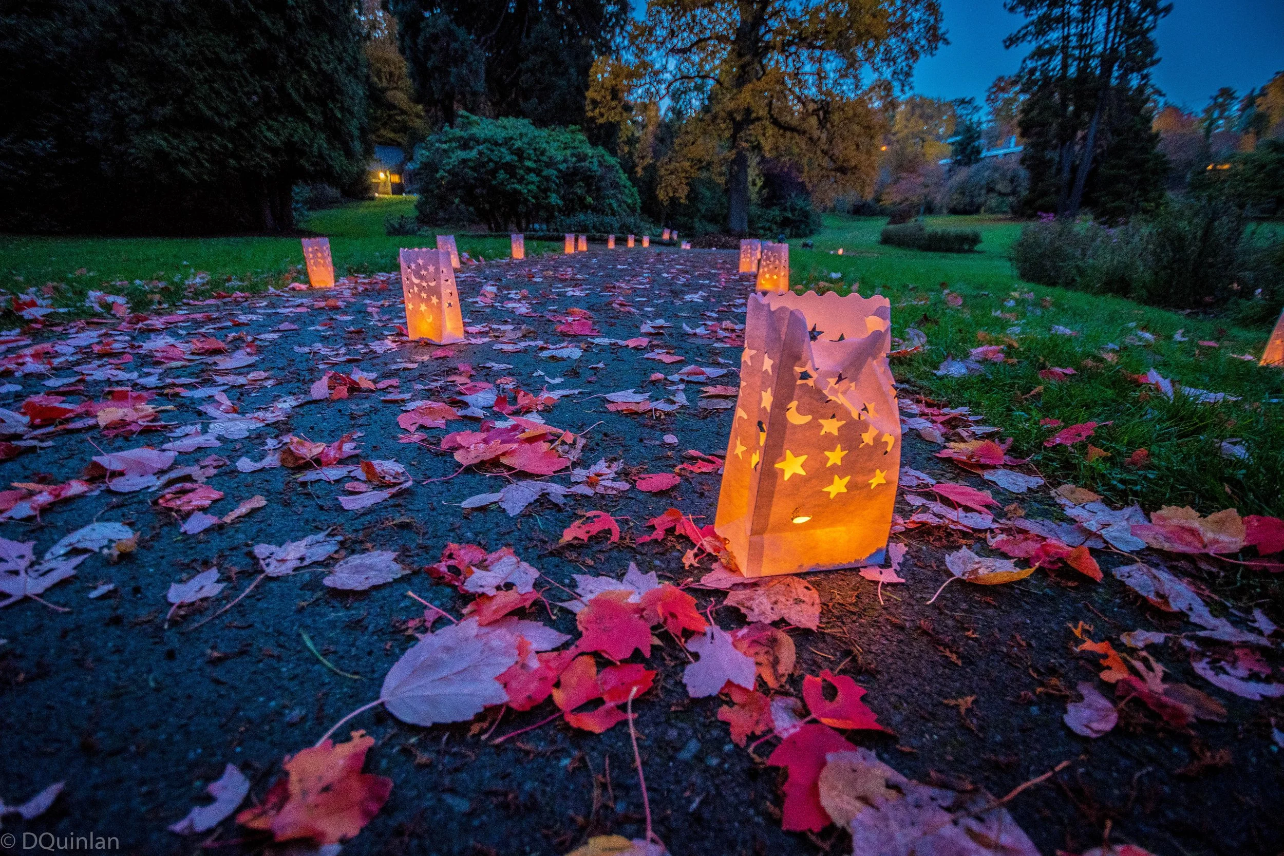 Lantern Walk