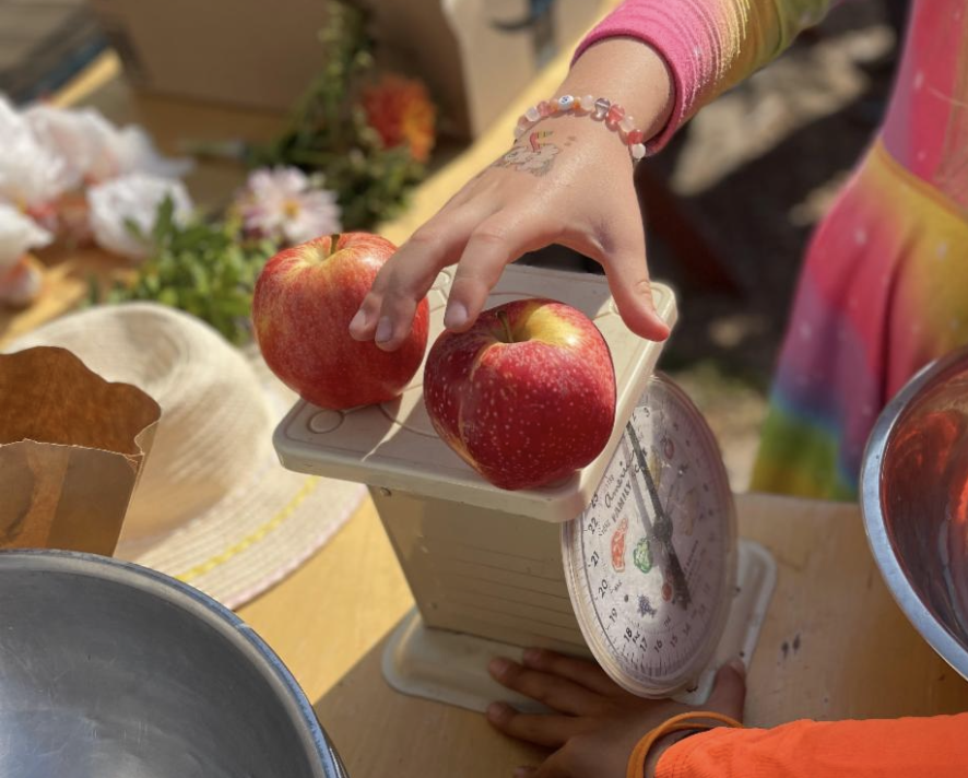 Farmers Market
