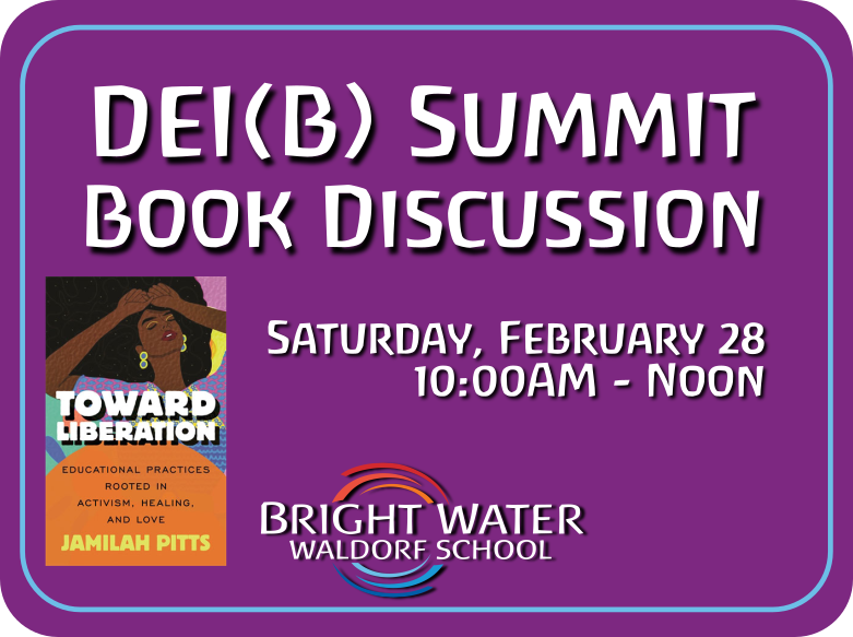 DEI(B) Summit Book Discussion