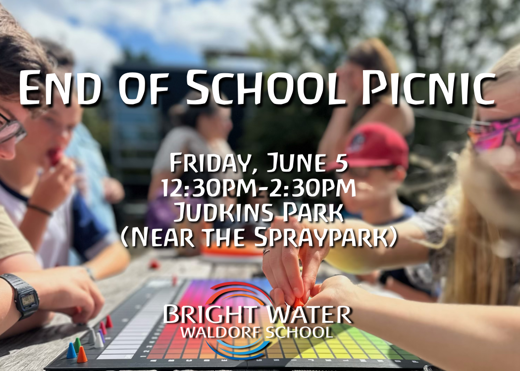 End of School Picnic