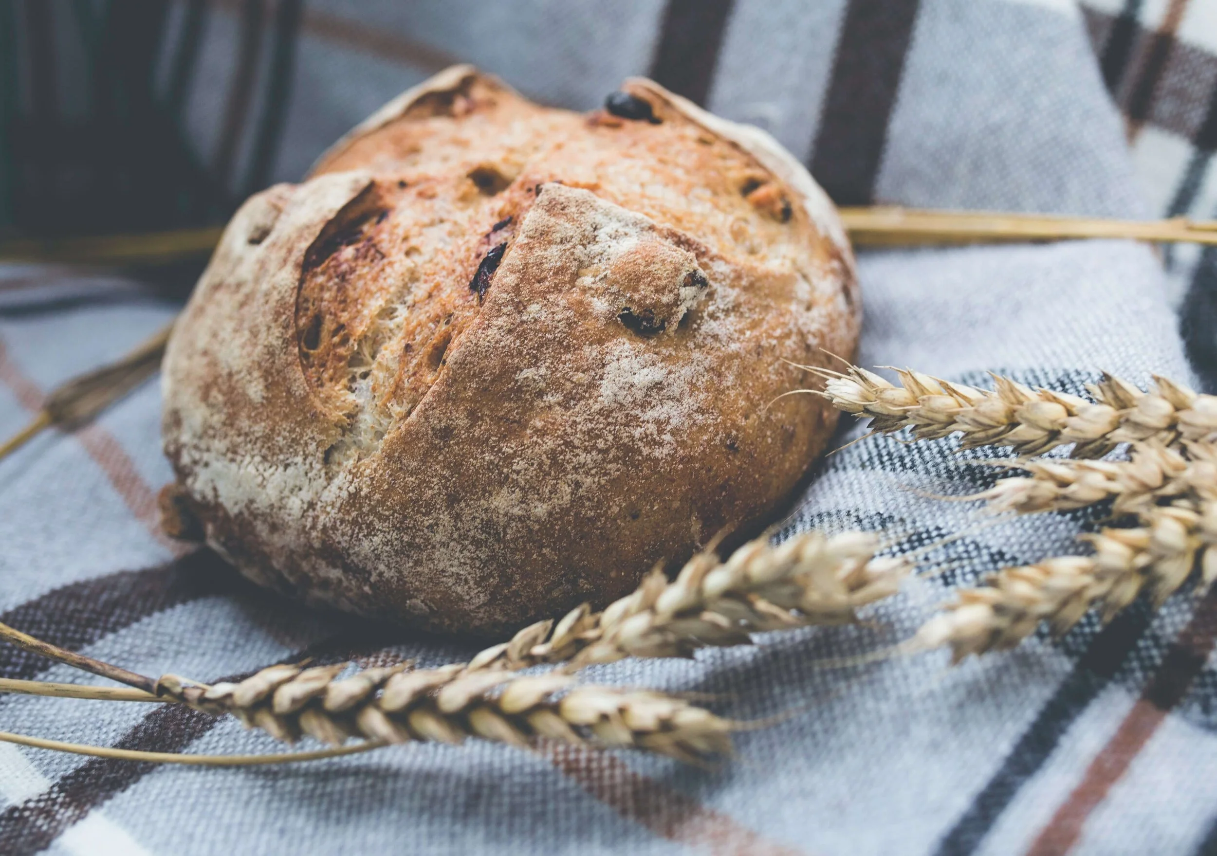 Myth Multigrain is The Same as Whole Grain — Nutrition Services
