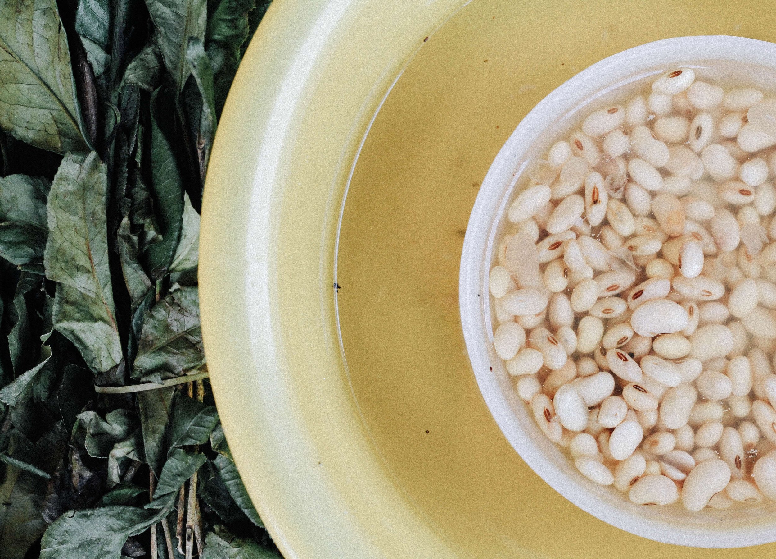What's a legume and why should I eat it?