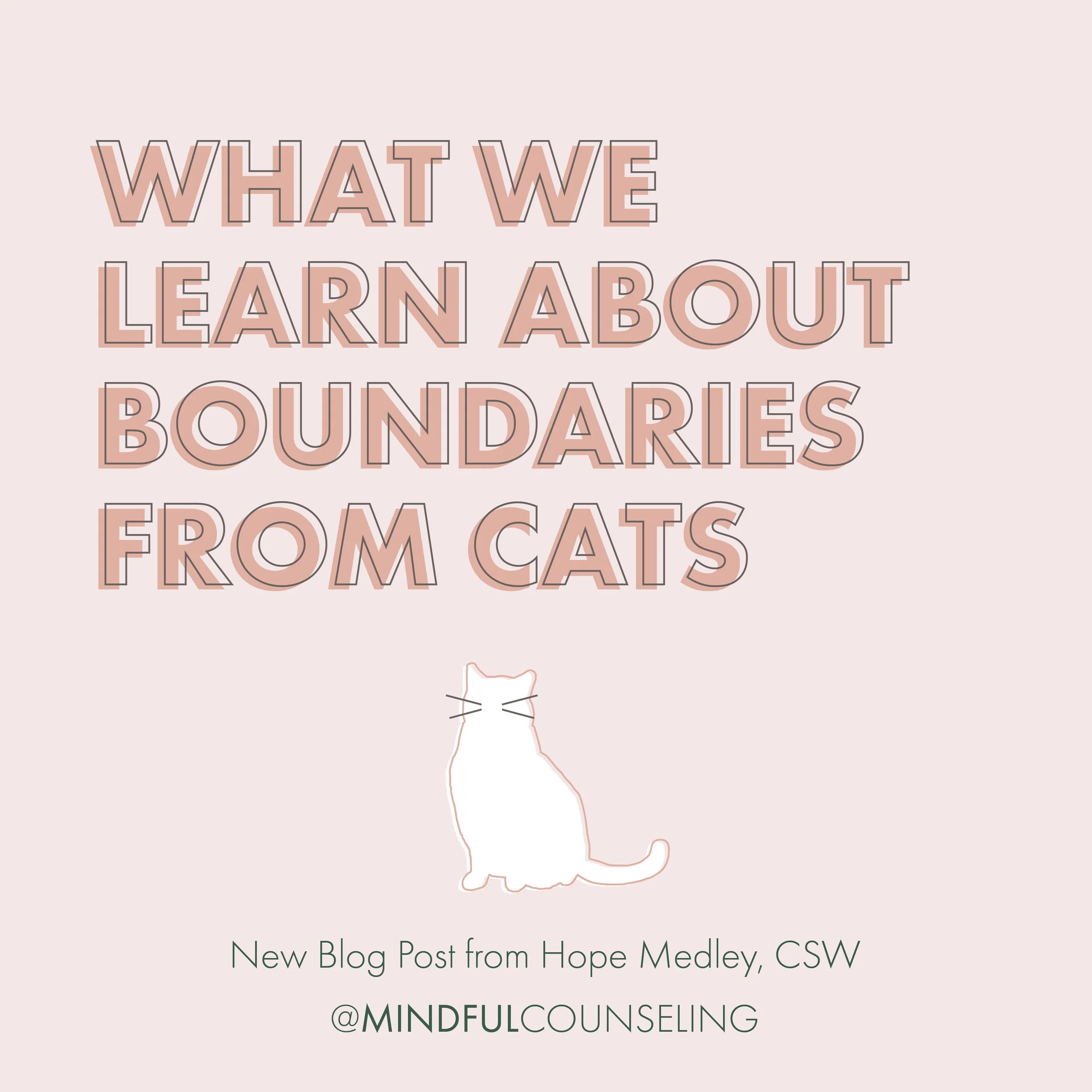 What We Learn About Boundaries From Cats