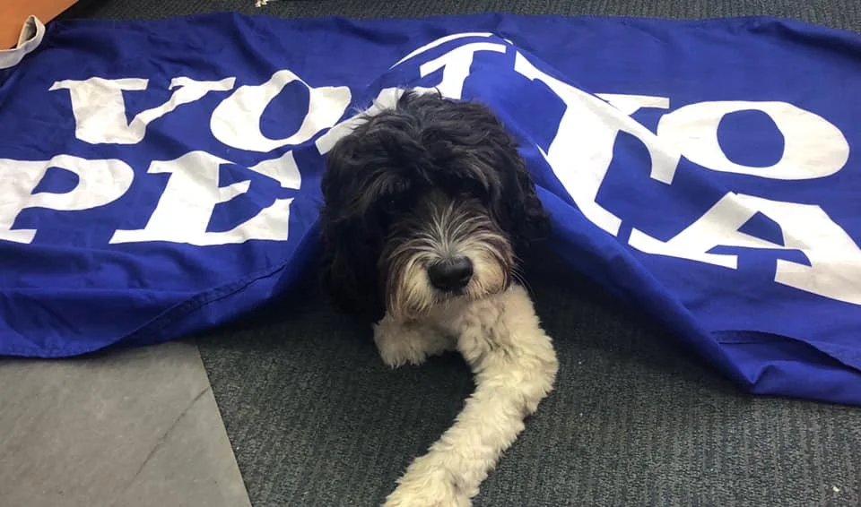 DOUGLAS MARINE PTY LTD