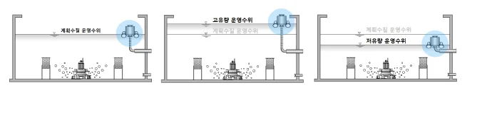 bcs_sang.jpg
