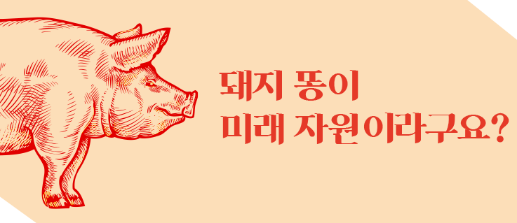 얼마 전 북극곰이 플라스틱을 뜯어먹는 사진으로 지구촌이 한바탕 떠들썩했다. 이 사진을 계기로 플라스틱 사용 문제가 사회적으로 큰 이슈가 되었고 플라스틱을 지속 가능한 자원으로 대체하려는 움직임이 생겨났다. 세계적인 음료회사 펩시는 100% 미생물 분해가 가능한 용기를 선보였고, 맥도날드는 내년까지 플라스틱 빨대를 종이 빨대로 전면 교체하겠다고 발표했다. 이제 전문가들은 지속 가능한 자원순환이 곧 경쟁력인 시대가 도래할 것이라고 말하고 있다.
