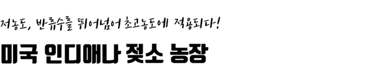 img6.png