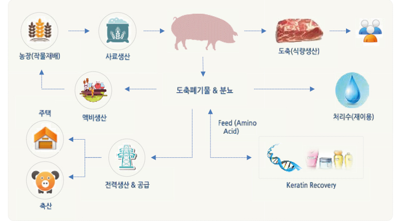 자원순환형 가축분뇨 모델