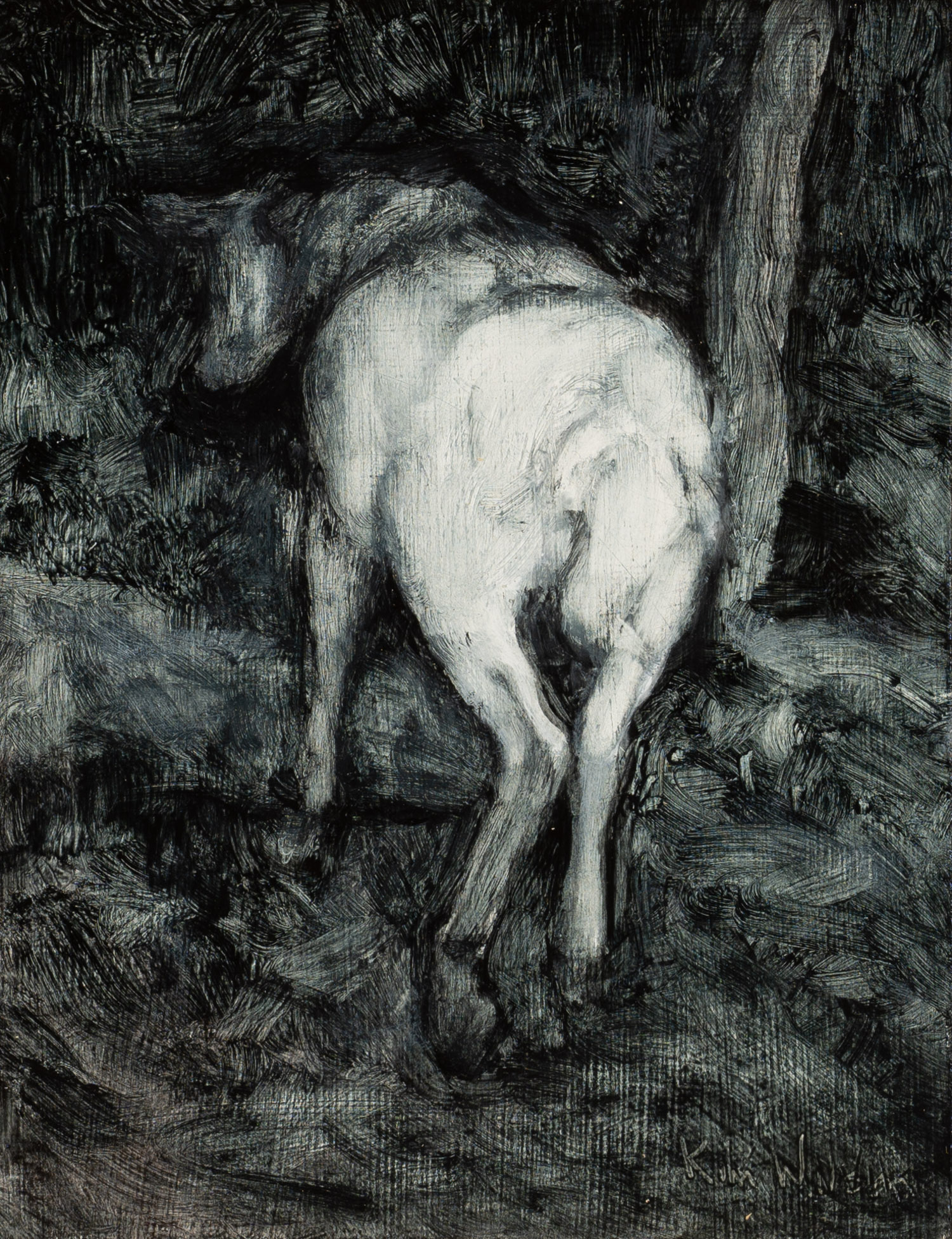 Feral Goat VI