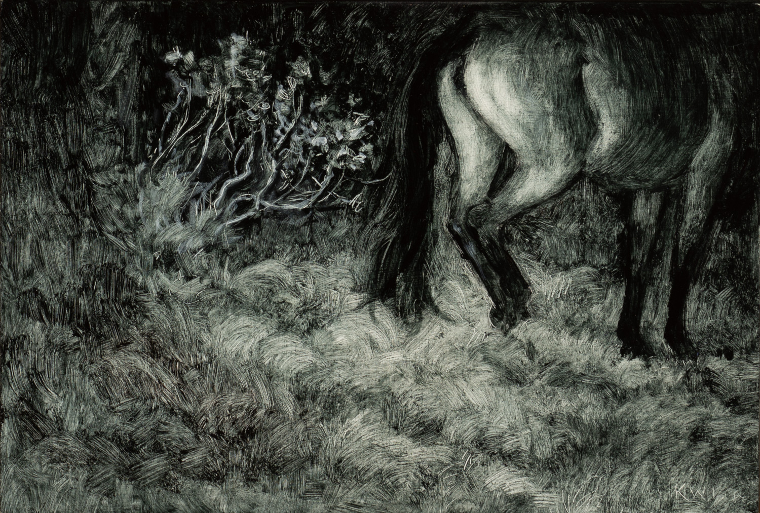 Feral Horse III