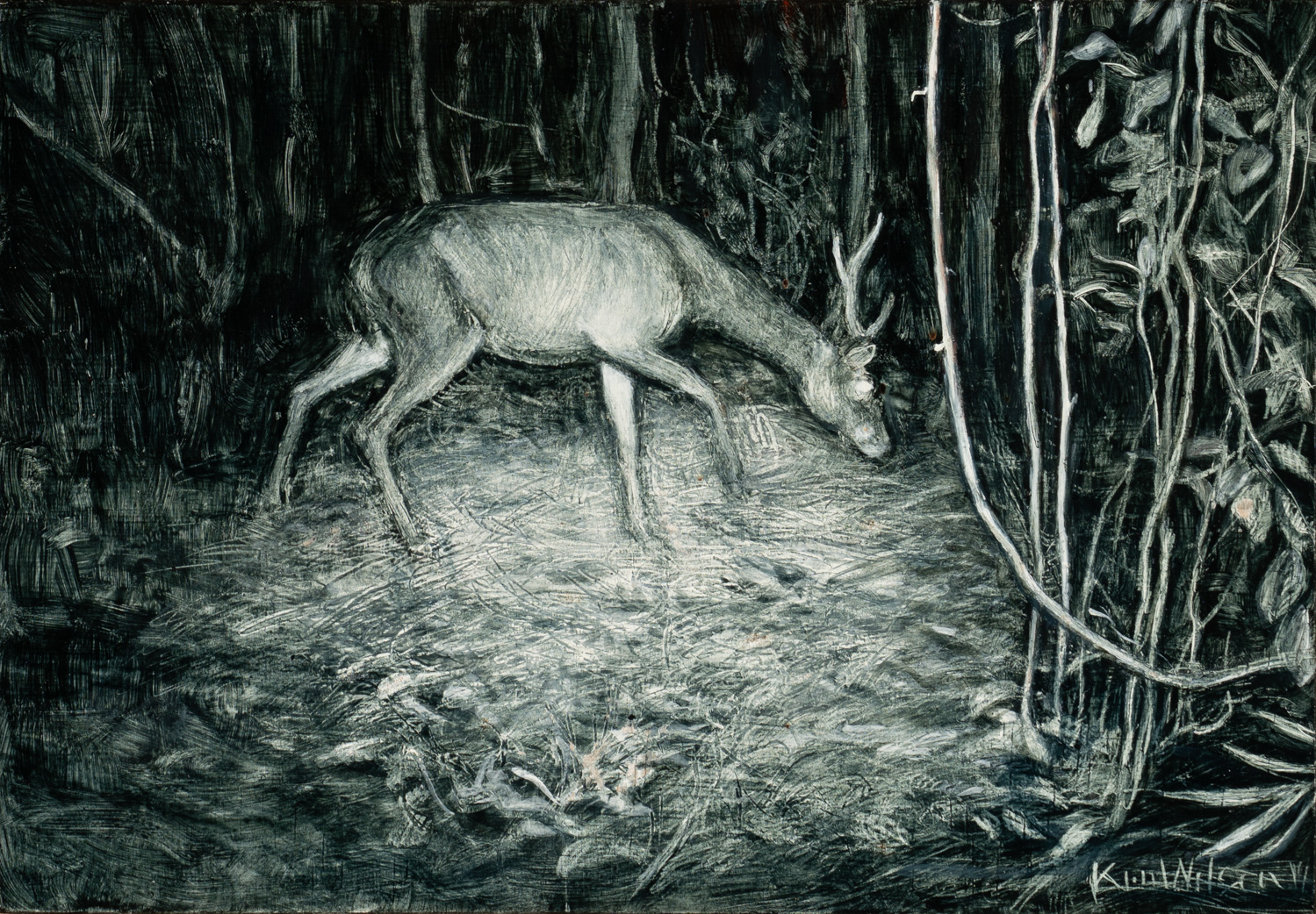 Feral Deer IV