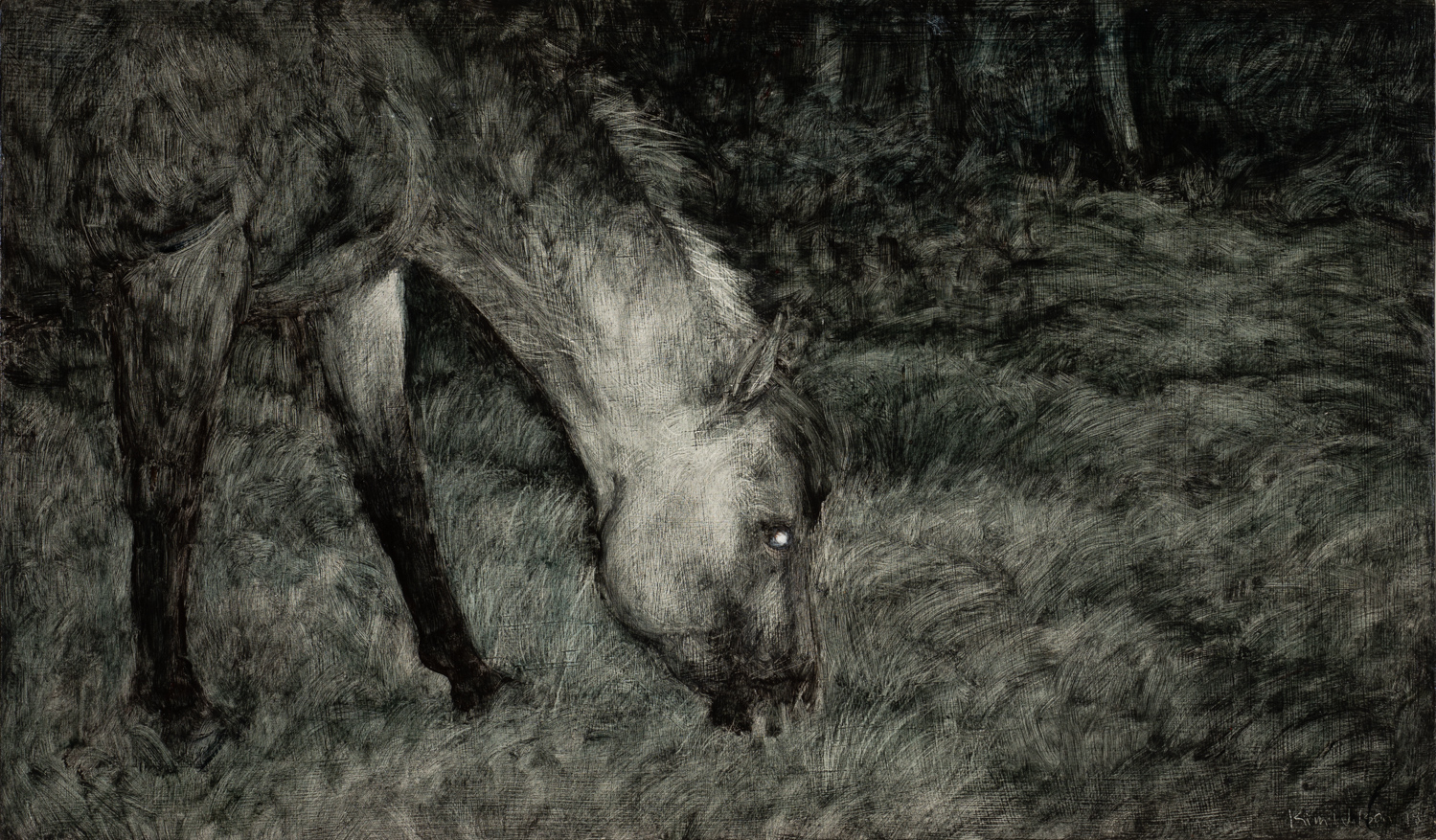 Feral Horse IV