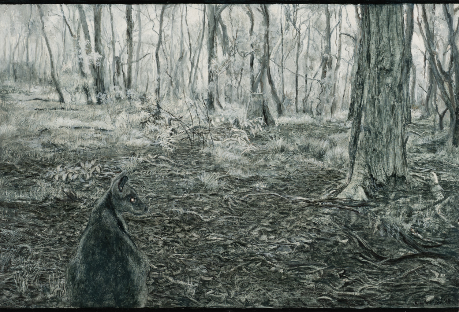 Swamp Wallaby II