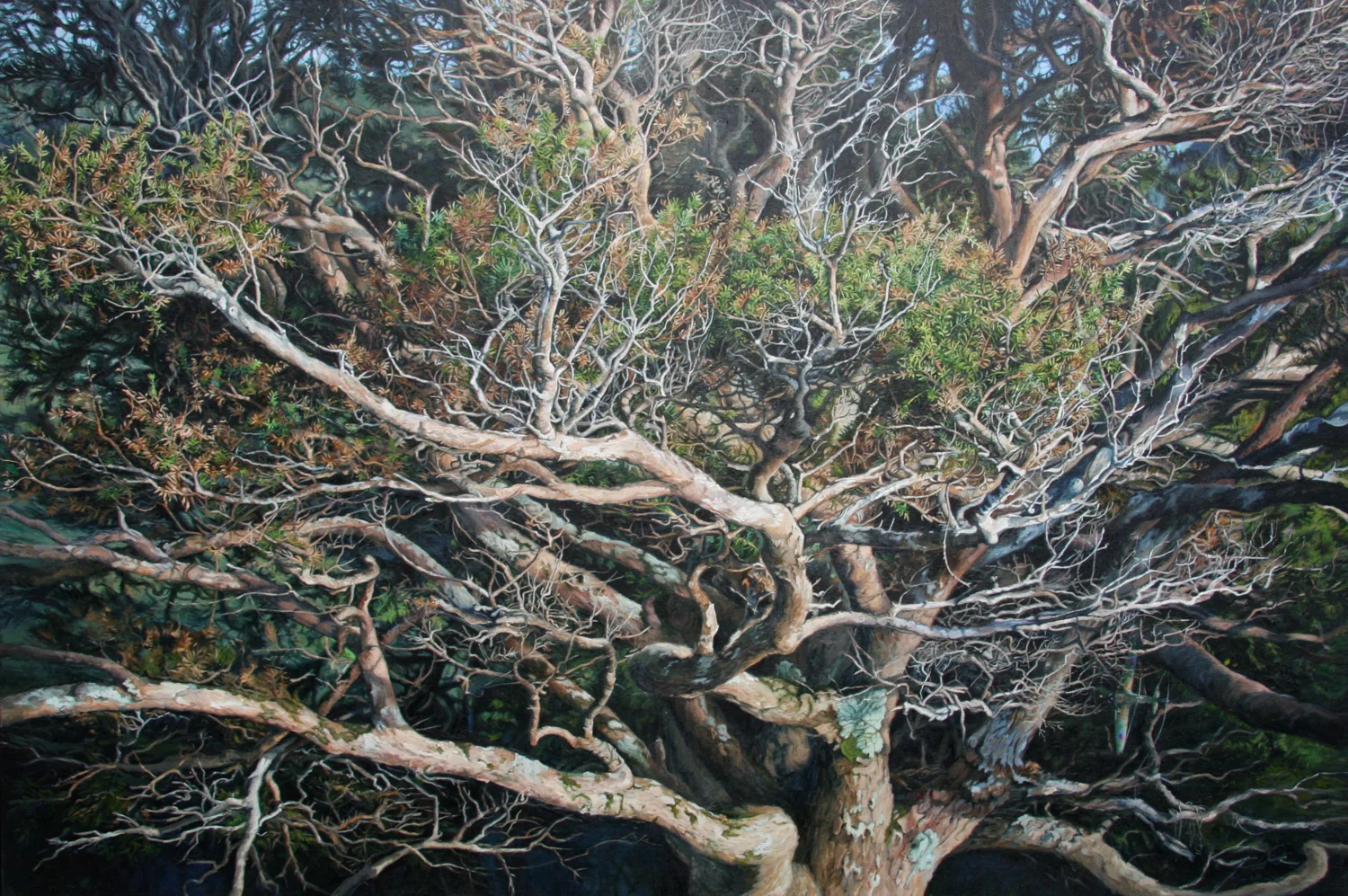 What the Tree Saw