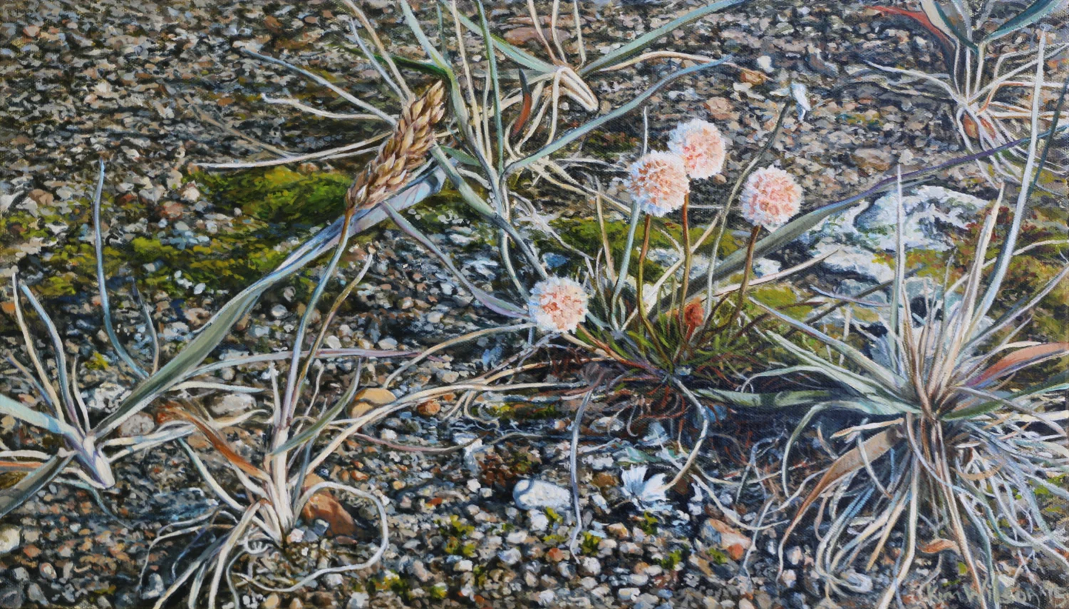 Wildflowers, Kolyuchin Spit