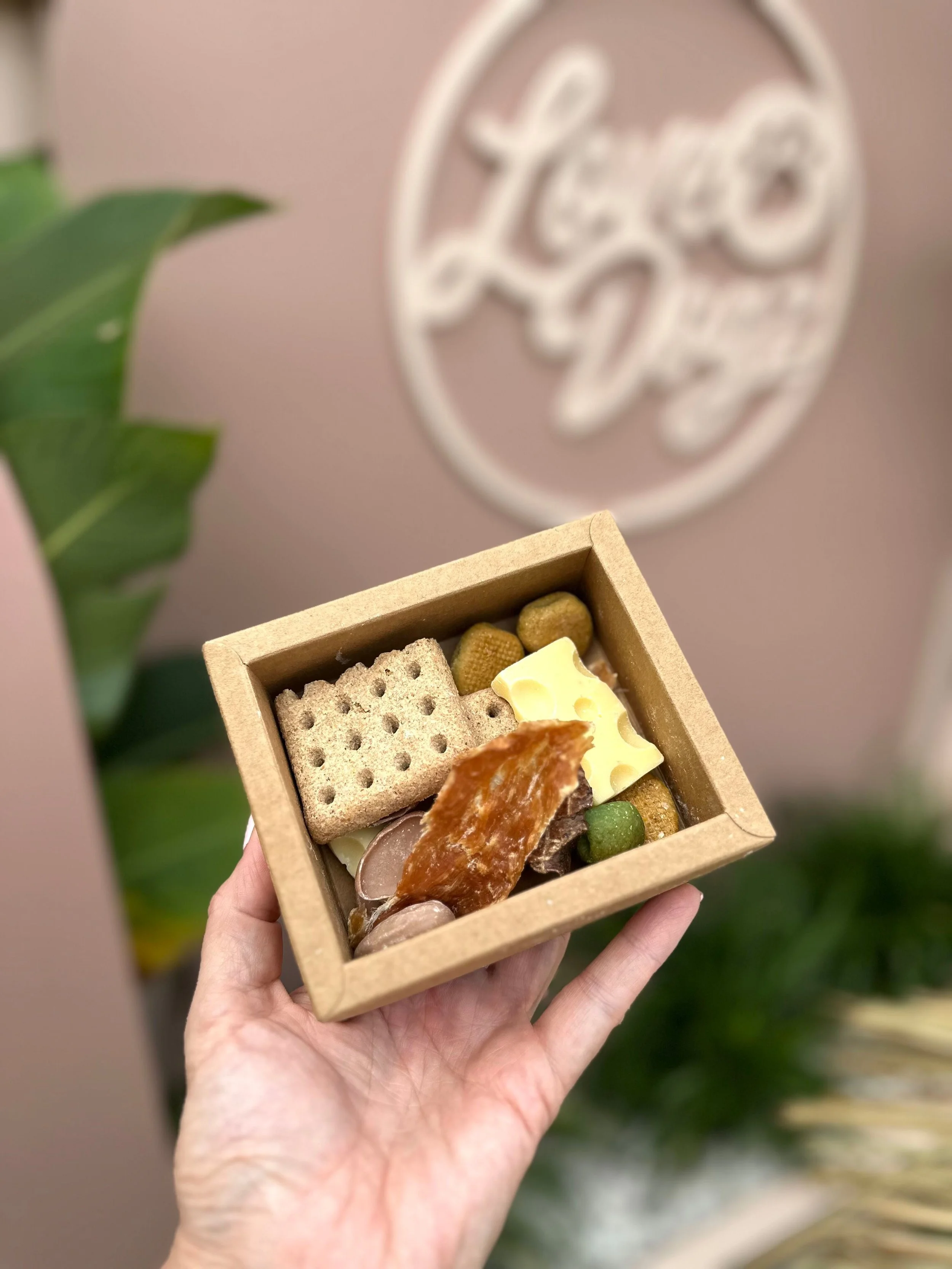Single Gourmet Dog Charcuterie Box