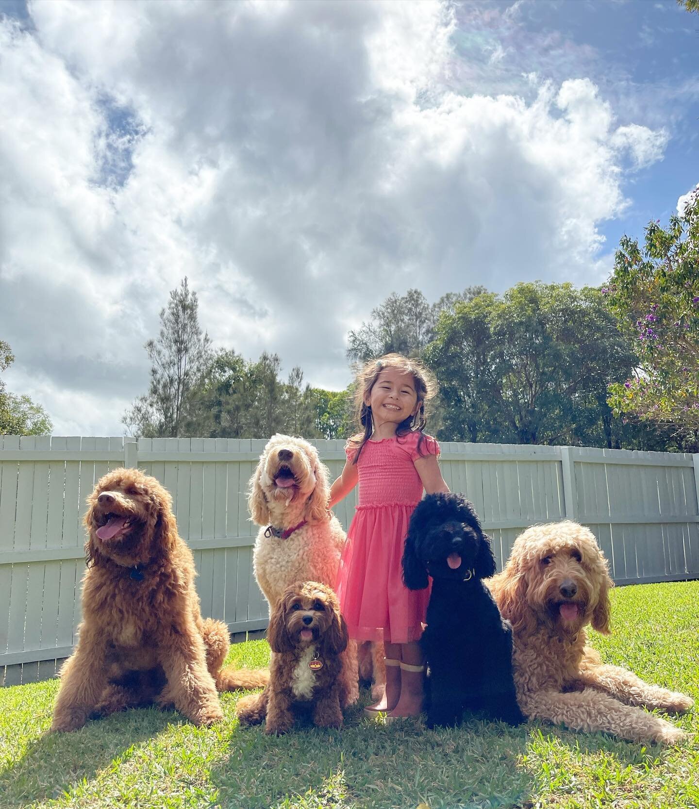 Our littlest team member had the day off kindy today, 
obviously not too sick but needed a home day, as challenging as these days are i remind myself of my why&hellip;

8 years ago when Love Dogz began it was so i could be around for my kids &amp; do